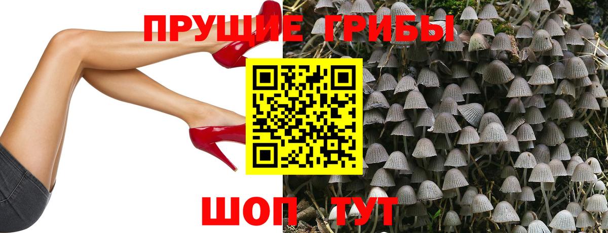 Псилоцибиновые грибы ЛСД  Вход с VPN  Галлюциногенные грибы ЛСД  Тосно 